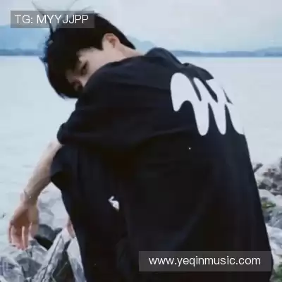 董治鹤