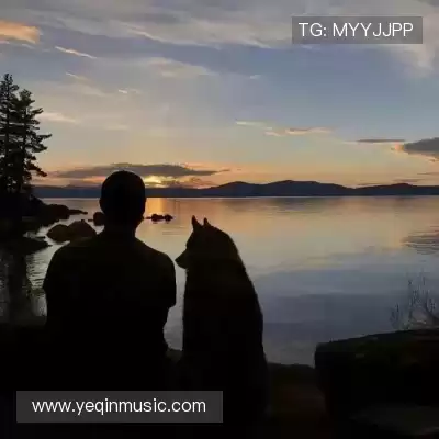 沈辉